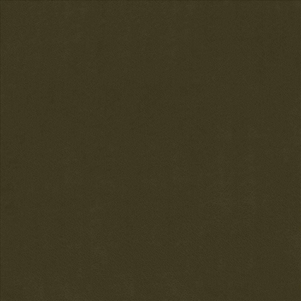 Odin Ivy by Kasmir Fabric 5127 100% Polyurethane
 CHINA 100,000 Wyzenbeek Double Rubs </p><p>Repeat: Horizontal: N/A and Vertical: N/A 53 - Fabric Carolina -