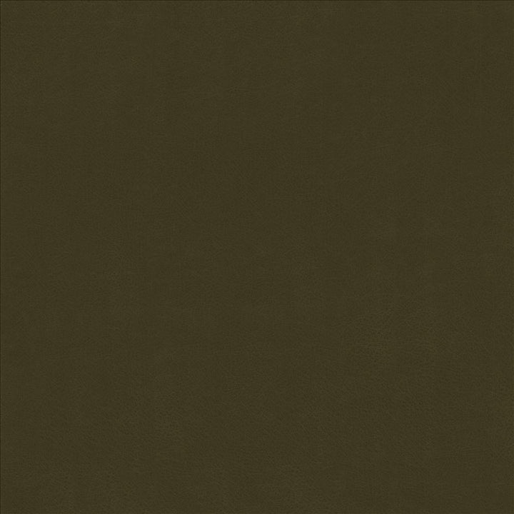 Odin Ivy by Kasmir Fabric 5127 100% Polyurethane
 CHINA 100,000 Wyzenbeek Double Rubs </p><p>Repeat: Horizontal: N/A and Vertical: N/A 53 - Fabric Carolina -