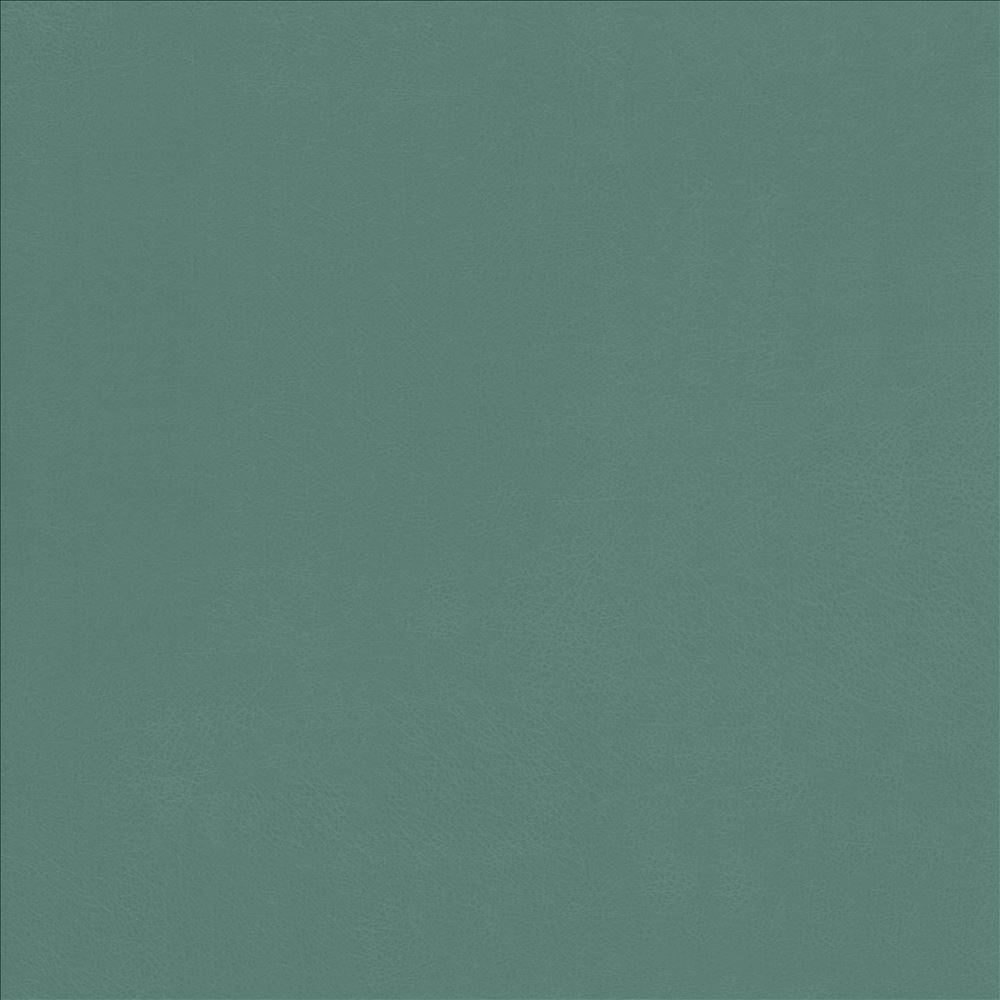 Odin Jade by Kasmir Fabric 5127 100% Polyurethane
 CHINA 100,000 Wyzenbeek Double Rubs Horizontal: N/A and Vertical: N/A 53 - Fabric Carolina -