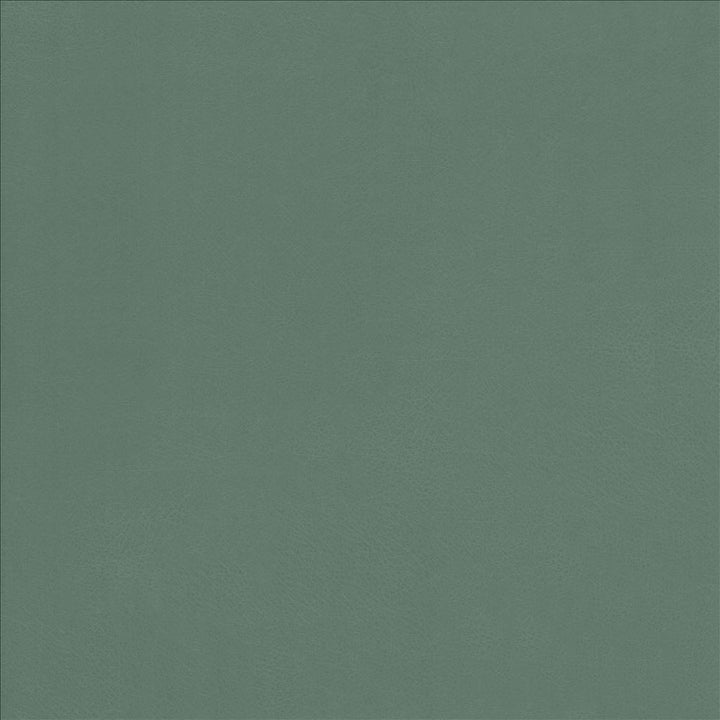 Odin Jade by Kasmir Fabric 5127 100% Polyurethane
 CHINA </p><p>Repeat: Horizontal: N/A and Vertical: N/A 53 - Fabric Carolina -