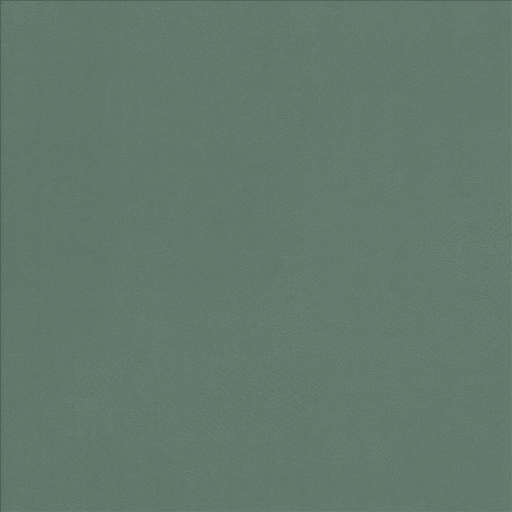 Odin Jade by Kasmir Fabric 5127 100% Polyurethane
 CHINA 100,000 Wyzenbeek Double Rubs </p><p>Repeat: Horizontal: N/A and Vertical: N/A 53 - Fabric Carolina -