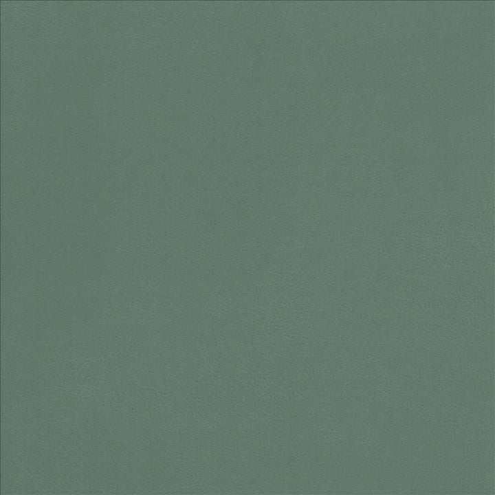 Odin Jade by Kasmir Fabric 5127 100% Polyurethane
 CHINA 100,000 Wyzenbeek Double Rubs </p><p>Repeat: Horizontal: N/A and Vertical: N/A 53 - Fabric Carolina -