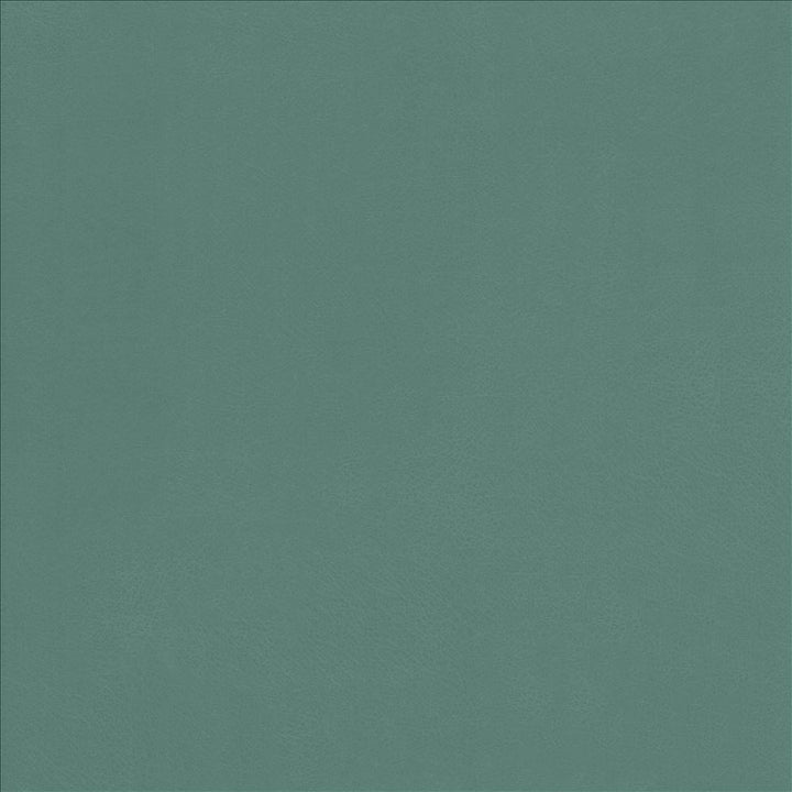 Odin Jade by Kasmir Fabric 5127 100% Polyurethane CHINA 100,000 Wyzenbeek Double Rubs Horizontal: 0 Inches and Vertical: 0 Inches 54 - Fabric Carolina -