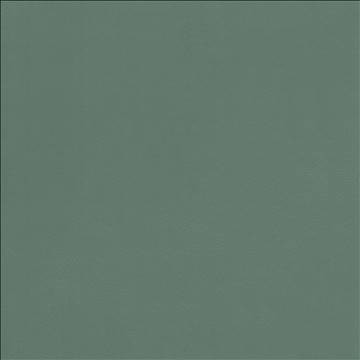 Odin Jade by Kasmir Fabric 5127 100% Polyurethane CHINA 100,000 Wyzenbeek Double Rubs H: N/A, V: N/A 54 - Fabric Carolina - Kasmir