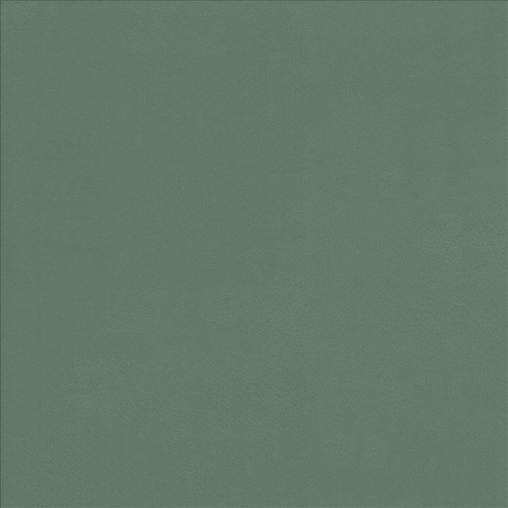 Odin Jade by Kasmir Fabric 5127 100% Polyurethane
 CHINA </p><p>Repeat: Horizontal: N/A and Vertical: N/A 53 - Fabric Carolina -