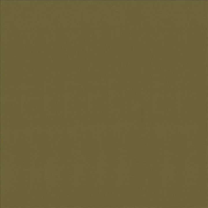 Odin Lichen  by Kasmir Fabric See sample 100% Polyurethane
 CHINA 100,000 Wyzenbeek Double Rubs </p><p>Repeat: Horizontal: N/A and Vertical: N/A 53  - Fabric Carolina -