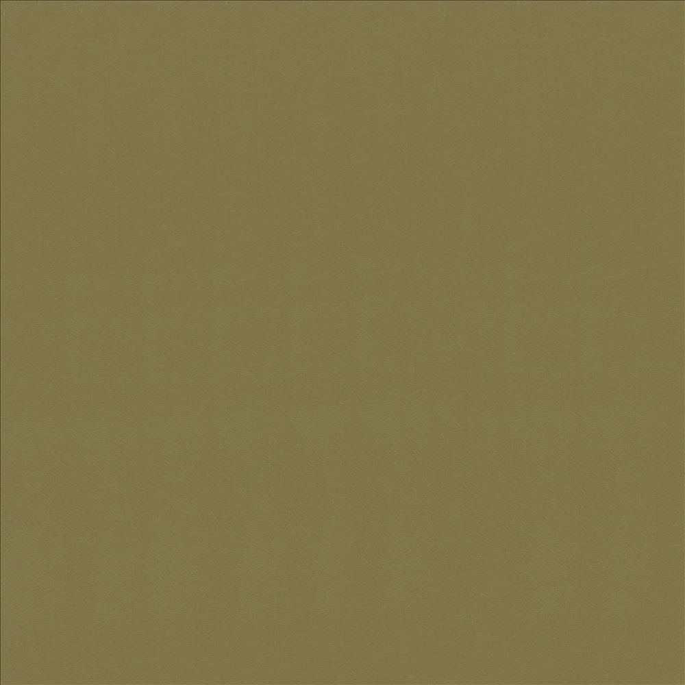 Odin Lichen by Kasmir Fabric 5127 100% Polyurethane
 CHINA </p><p>Repeat: Horizontal: N/A and Vertical: N/A 53 - Fabric Carolina -