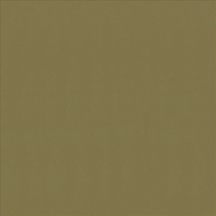 Odin Lichen by Kasmir Fabric 5127 100% Polyurethane
 CHINA </p><p>Repeat: Horizontal: N/A and Vertical: N/A 53 - Fabric Carolina -