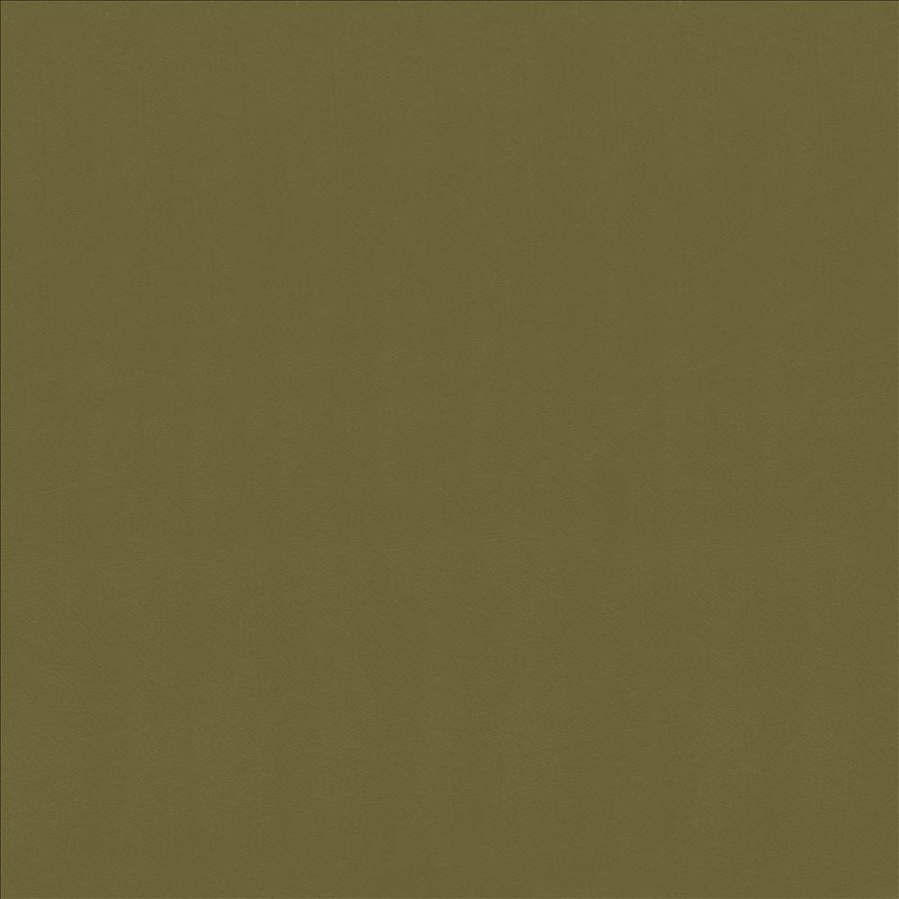 Odin Lichen by Kasmir Fabric 5127 100% Polyurethane CHINA 100,000 Wyzenbeek Double Rubs Horizontal: 0 Inches and Vertical: 0 Inches 54 - Fabric Carolina -