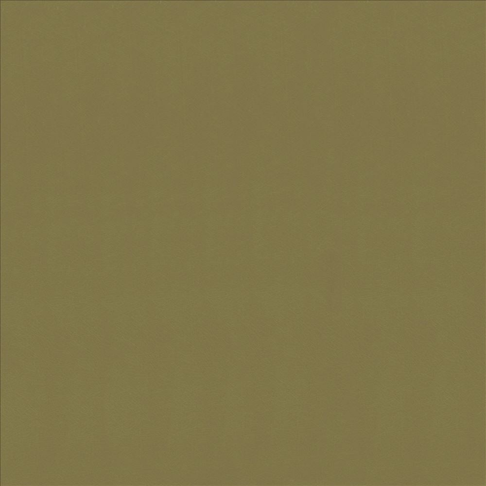 Odin Lichen by Kasmir Fabric 5127 100% Polyurethane
 CHINA 100,000 Wyzenbeek Double Rubs </p><p>Repeat: Horizontal: N/A and Vertical: N/A 53 - Fabric Carolina -
