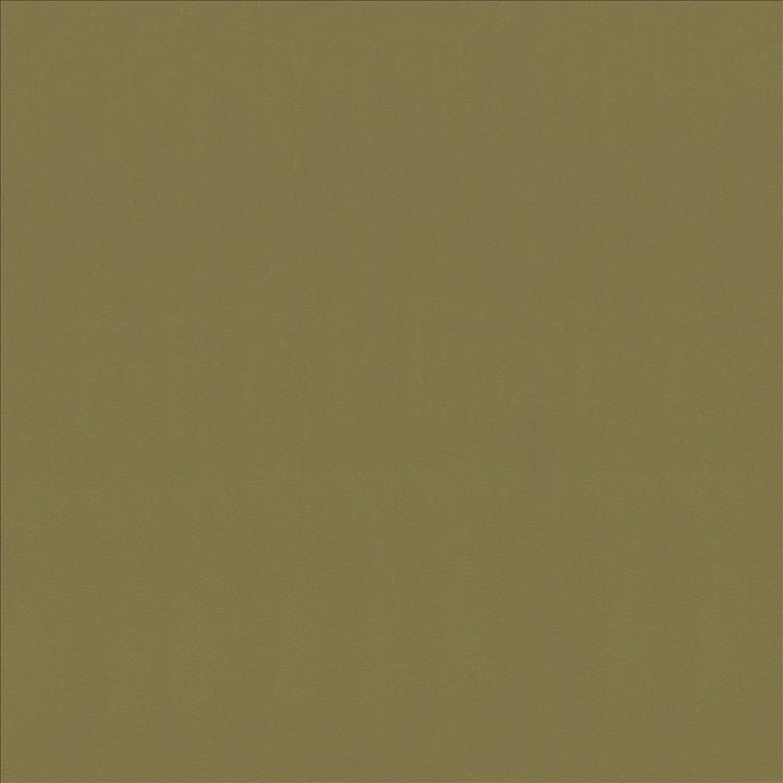Odin Lichen by Kasmir Fabric 5127 100% Polyurethane
 CHINA 100,000 Wyzenbeek Double Rubs </p><p>Repeat: Horizontal: N/A and Vertical: N/A 53 - Fabric Carolina -