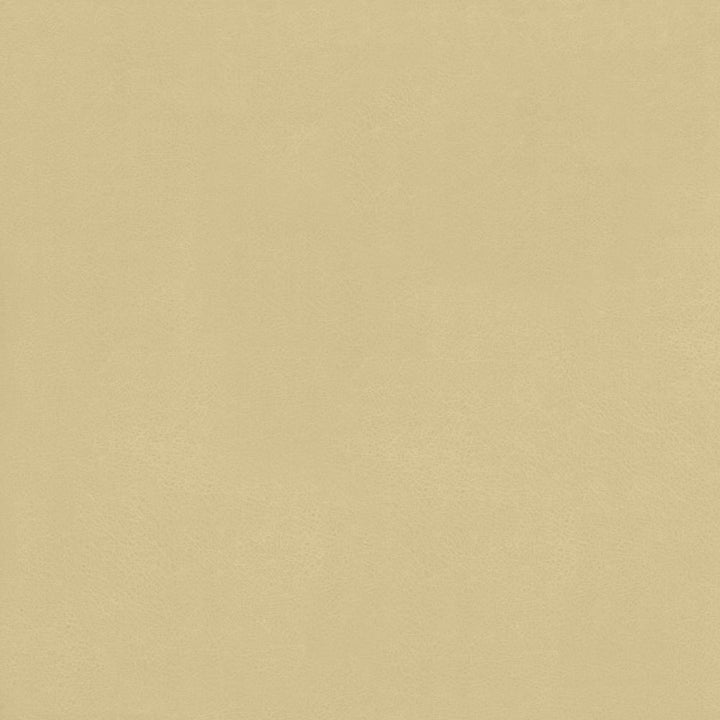 Odin Linen by Kasmir Fabric 5127 100% Polyurethane
 CHINA </p><p>Repeat: Horizontal: N/A and Vertical: N/A 53 - Fabric Carolina -