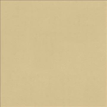 Odin Linen by Kasmir Fabric 5127 100% Polyurethane CHINA 100,000 Wyzenbeek Double Rubs H: N/A, V: N/A 54 - Fabric Carolina - Kasmir