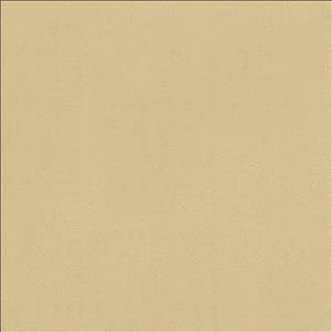 Odin Linen by Kasmir Fabric