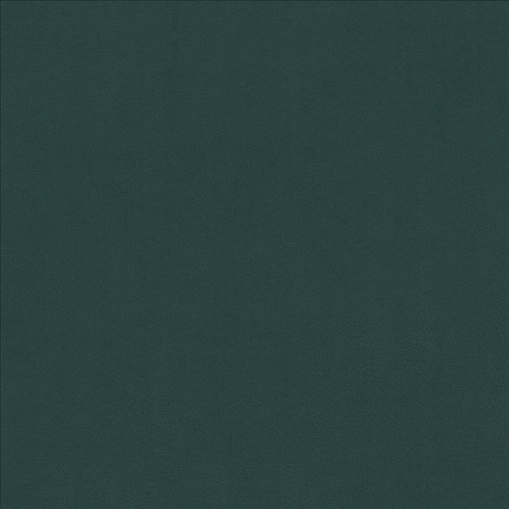 Odin Mallard by Kasmir Fabric 5127 100% Polyurethane
 CHINA </p><p>Repeat: Horizontal: N/A and Vertical: N/A 53 - Fabric Carolina -
