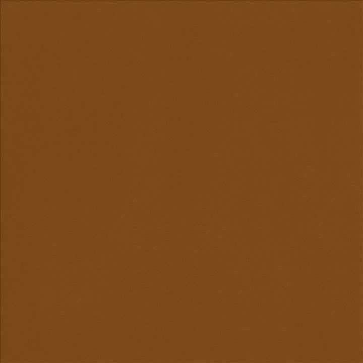 Odin Maple by Kasmir Fabric 5127 100% Polyurethane
 CHINA 100,000 Wyzenbeek Double Rubs Horizontal: N/A and Vertical: N/A 53 - Fabric Carolina -