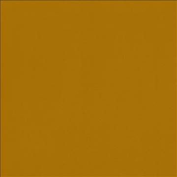 Odin Mustard by Kasmir Fabric 5127 100% Polyurethane CHINA 100,000 Wyzenbeek Double Rubs H: N/A, V: N/A 54 - Fabric Carolina - Kasmir