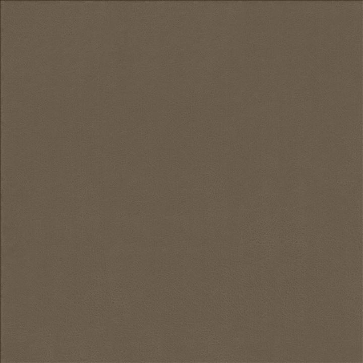 Odin Otter by Kasmir Fabric 5127 100% Polyurethane
 CHINA </p><p>Repeat: Horizontal: N/A and Vertical: N/A 53 - Fabric Carolina -