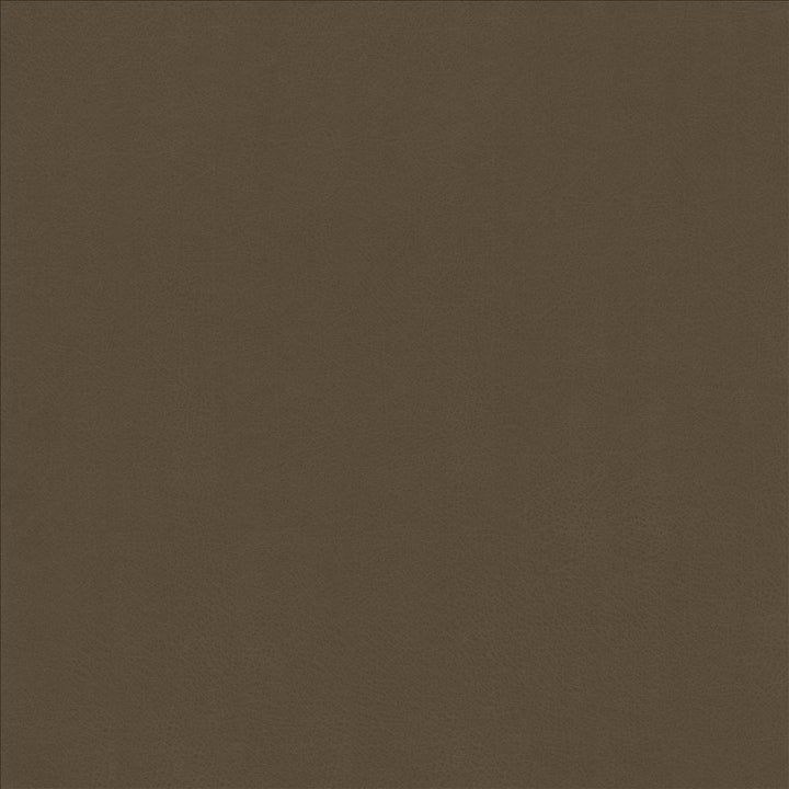 Odin Otter by Kasmir Fabric 5127 100% Polyurethane CHINA 100,000 Wyzenbeek Double Rubs Horizontal: 0 Inches and Vertical: 0 Inches 54 - Fabric Carolina -