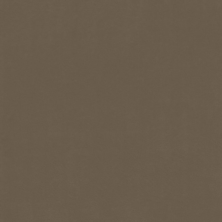 Odin Otter by Kasmir Fabric 5127 100% Polyurethane
 CHINA </p><p>Repeat: Horizontal: N/A and Vertical: N/A 53 - Fabric Carolina -