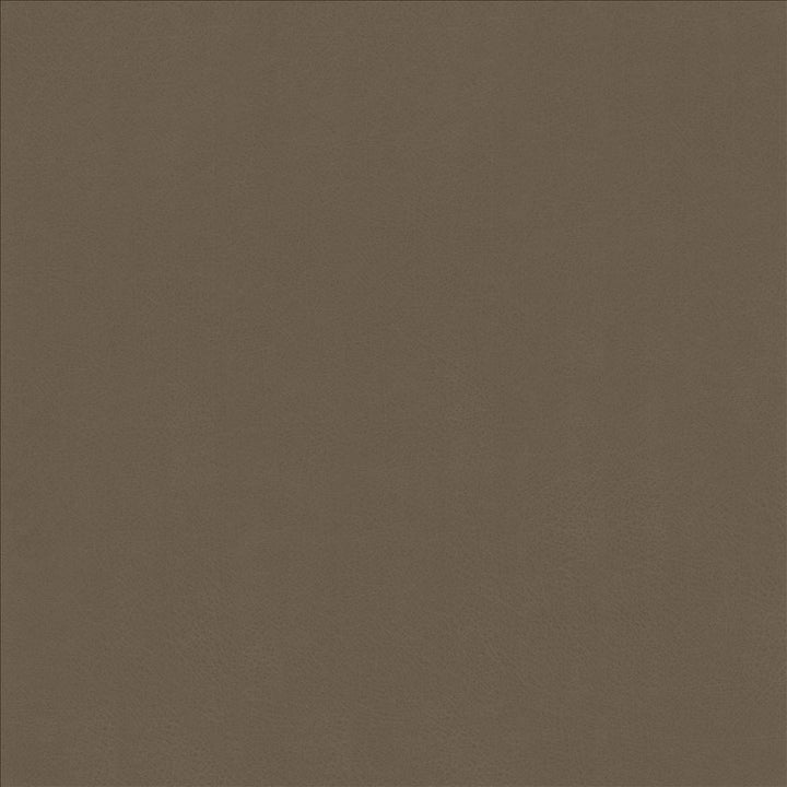 Odin Otter by Kasmir Fabric 5127 100% Polyurethane
 CHINA 100,000 Wyzenbeek Double Rubs </p><p>Repeat: Horizontal: N/A and Vertical: N/A 53 - Fabric Carolina -