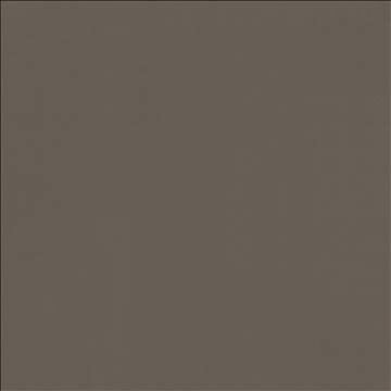Odin Oxford by Kasmir Fabric 5127 100% Polyurethane CHINA 100,000 Wyzenbeek Double Rubs H: N/A, V: N/A 54 - Fabric Carolina - Kasmir