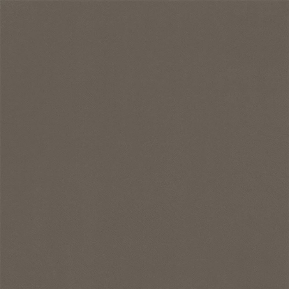 Odin Oxford by Kasmir Fabric 5127 100% Polyurethane
 CHINA 100,000 Wyzenbeek Double Rubs </p><p>Repeat: Horizontal: N/A and Vertical: N/A 53 - Fabric Carolina -