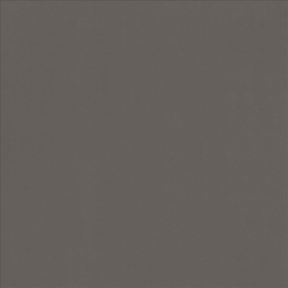 Odin Oxford by Kasmir Fabric 5127 100% Polyurethane CHINA 100,000 Wyzenbeek Double Rubs Horizontal: 0 Inches and Vertical: 0 Inches 54 - Fabric Carolina -