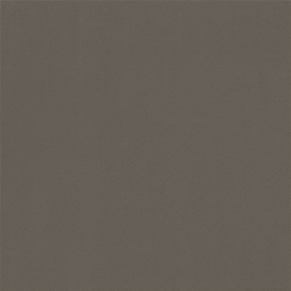 Odin Oxford by Kasmir Fabric 5127 100% Polyurethane
 CHINA </p><p>Repeat: Horizontal: N/A and Vertical: N/A 53 - Fabric Carolina -