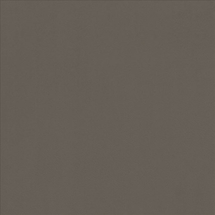 Odin Oxford by Kasmir Fabric 5127 100% Polyurethane
 CHINA </p><p>Repeat: Horizontal: N/A and Vertical: N/A 53 - Fabric Carolina -