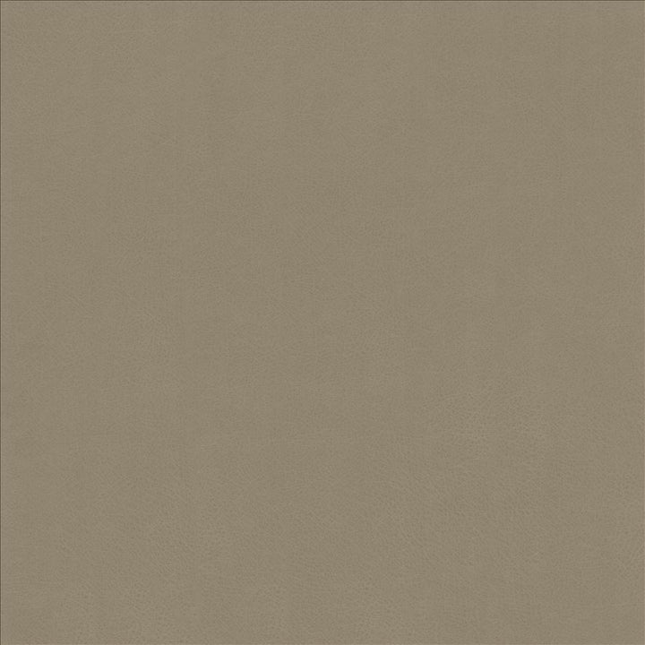 Odin Pewter by Kasmir Fabric 5127 100% Polyurethane
 CHINA </p><p>Repeat: Horizontal: N/A and Vertical: N/A 53 - Fabric Carolina -