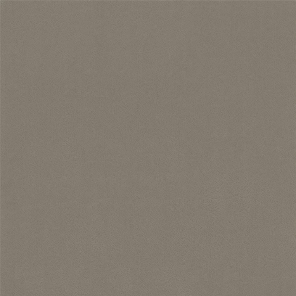 Odin Pewter by Kasmir Fabric 5127 100% Polyurethane
 CHINA 100,000 Wyzenbeek Double Rubs Horizontal: N/A and Vertical: N/A 53 - Fabric Carolina -