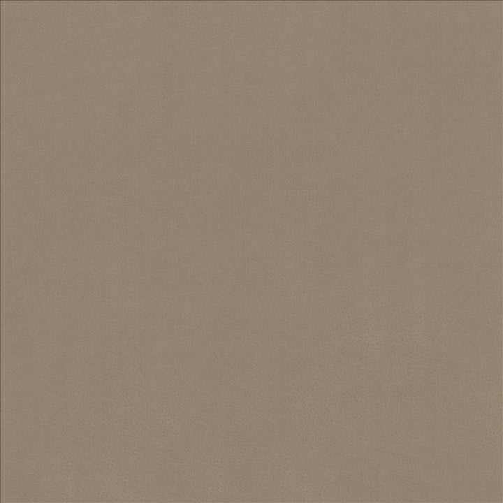 Odin Pewter by Kasmir Fabric 5127 100% Polyurethane
 CHINA 100,000 Wyzenbeek Double Rubs </p><p>Repeat: Horizontal: N/A and Vertical: N/A 53 - Fabric Carolina -