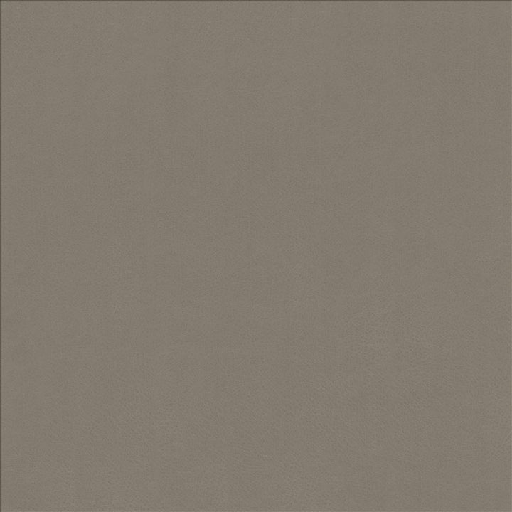 Odin Pewter by Kasmir Fabric 5127 100% Polyurethane CHINA 100,000 Wyzenbeek Double Rubs Horizontal: 0 Inches and Vertical: 0 Inches 54 - Fabric Carolina -