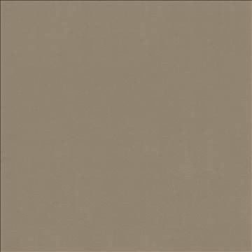 Odin Pewter by Kasmir Fabric 5127 100% Polyurethane CHINA 100,000 Wyzenbeek Double Rubs H: N/A, V: N/A 54 - Fabric Carolina - Kasmir
