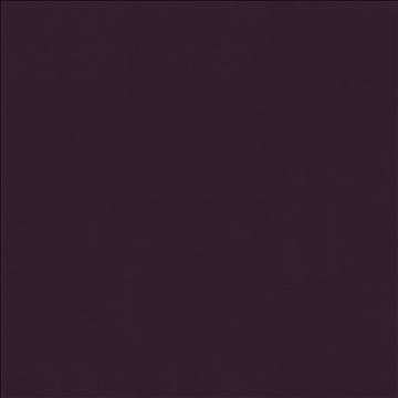 Odin Plum by Kasmir Fabric 5127 100% Polyurethane CHINA 100,000 Wyzenbeek Double Rubs H: N/A, V: N/A 54 - Fabric Carolina - Kasmir