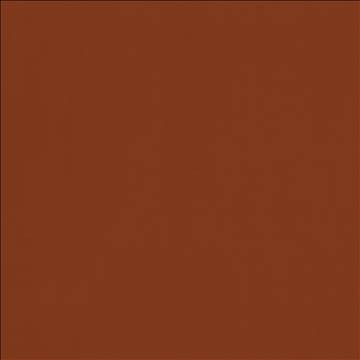 Odin Pumpkin Spice by Kasmir Fabric 5127 100% Polyurethane CHINA 100,000 Wyzenbeek Double Rubs H: N/A, V: N/A 54 - Fabric Carolina - Kasmir