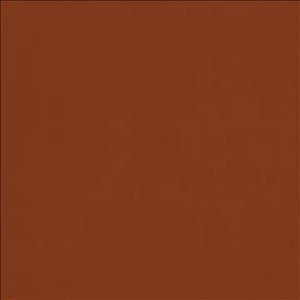 Odin Pumpkin Spice by Kasmir Fabric