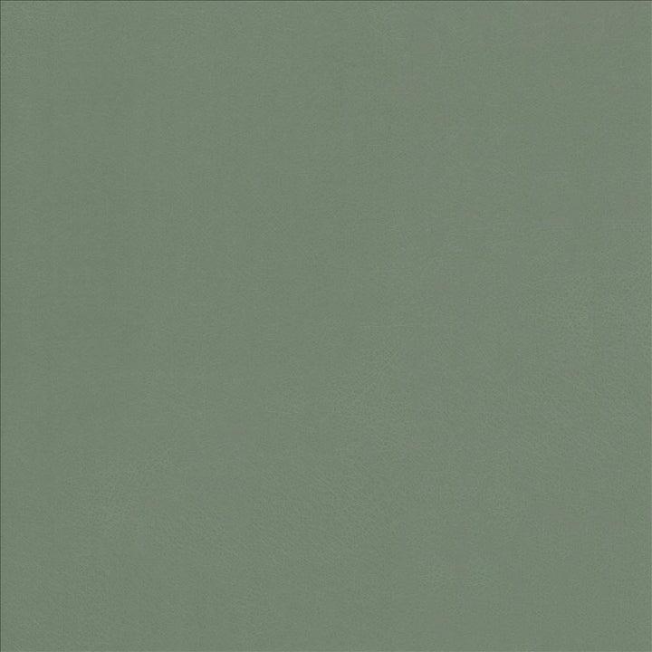 Odin Sea by Kasmir Fabric 5127 100% Polyurethane
 CHINA 100,000 Wyzenbeek Double Rubs </p><p>Repeat: Horizontal: N/A and Vertical: N/A 53 - Fabric Carolina -