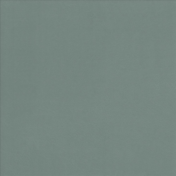 Odin Sea  by Kasmir Fabric See sample 100% Polyurethane
 CHINA 100,000 Wyzenbeek Double Rubs </p><p>Repeat: Horizontal: N/A and Vertical: N/A 53  - Fabric Carolina -