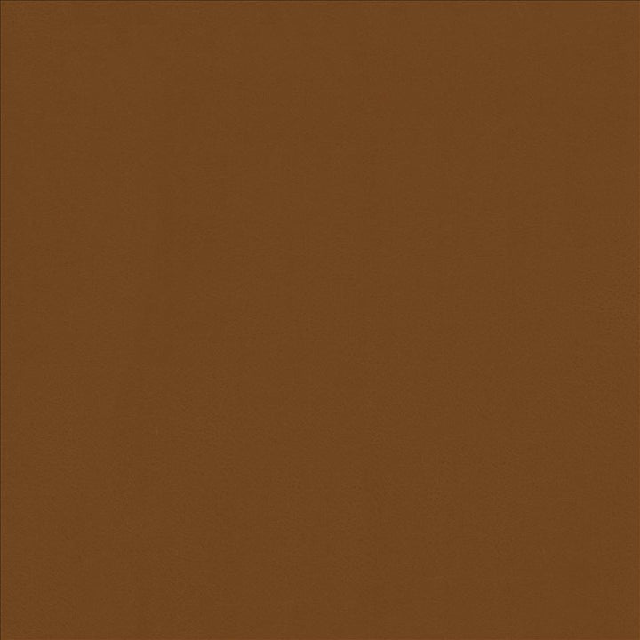 Odin Sienna by Kasmir Fabric 5127 100% Polyurethane
 CHINA </p><p>Repeat: Horizontal: N/A and Vertical: N/A 53 - Fabric Carolina -