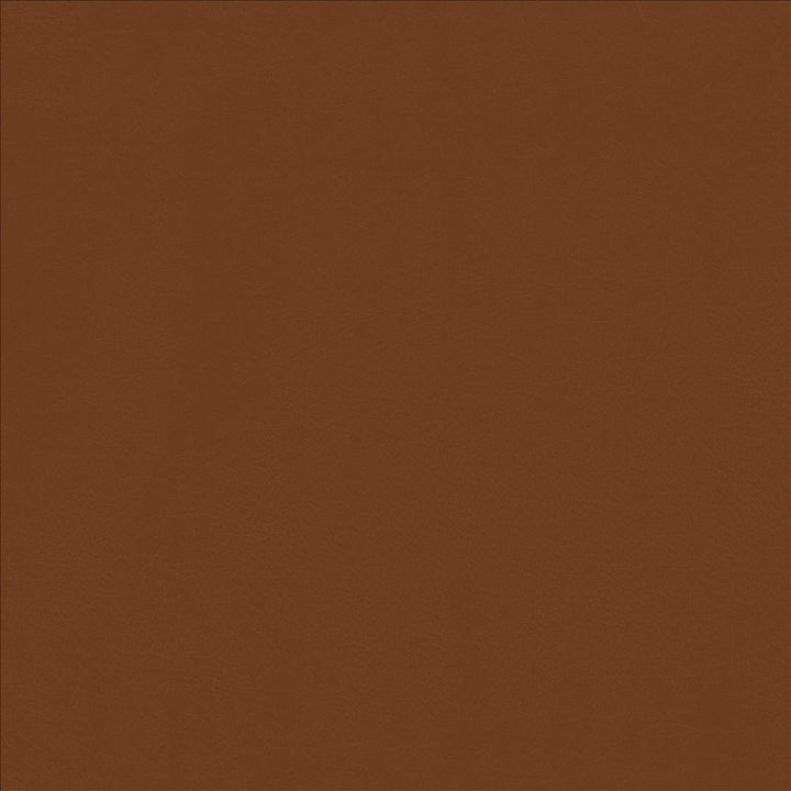 Odin Sienna  by Kasmir Fabric See sample 100% Polyurethane
 CHINA 100,000 Wyzenbeek Double Rubs </p><p>Repeat: Horizontal: N/A and Vertical: N/A 53  - Fabric Carolina -