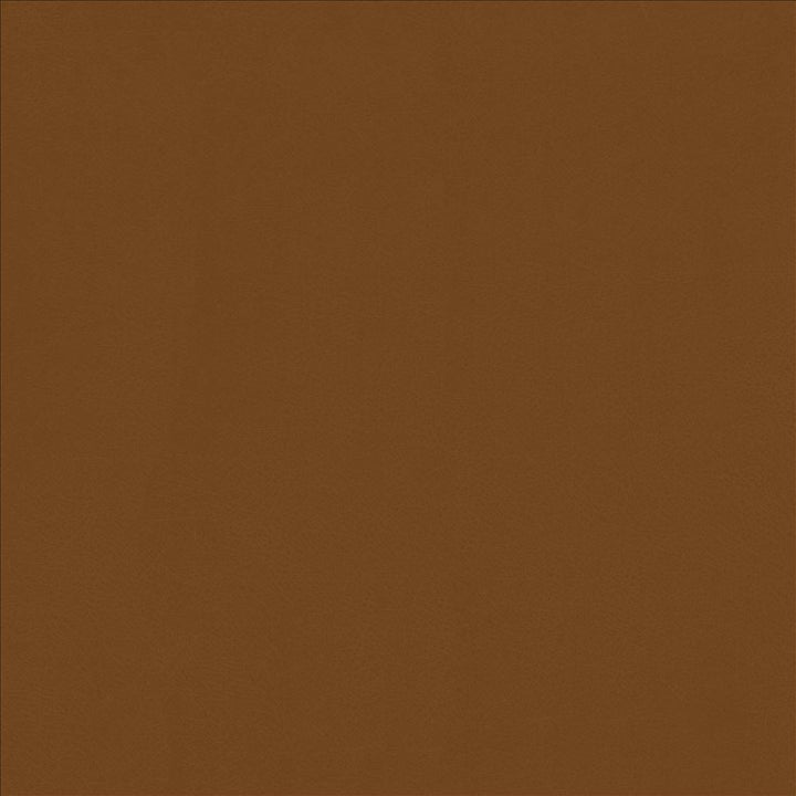 Odin Sienna by Kasmir Fabric 5127 100% Polyurethane
 CHINA 100,000 Wyzenbeek Double Rubs </p><p>Repeat: Horizontal: N/A and Vertical: N/A 53 - Fabric Carolina -