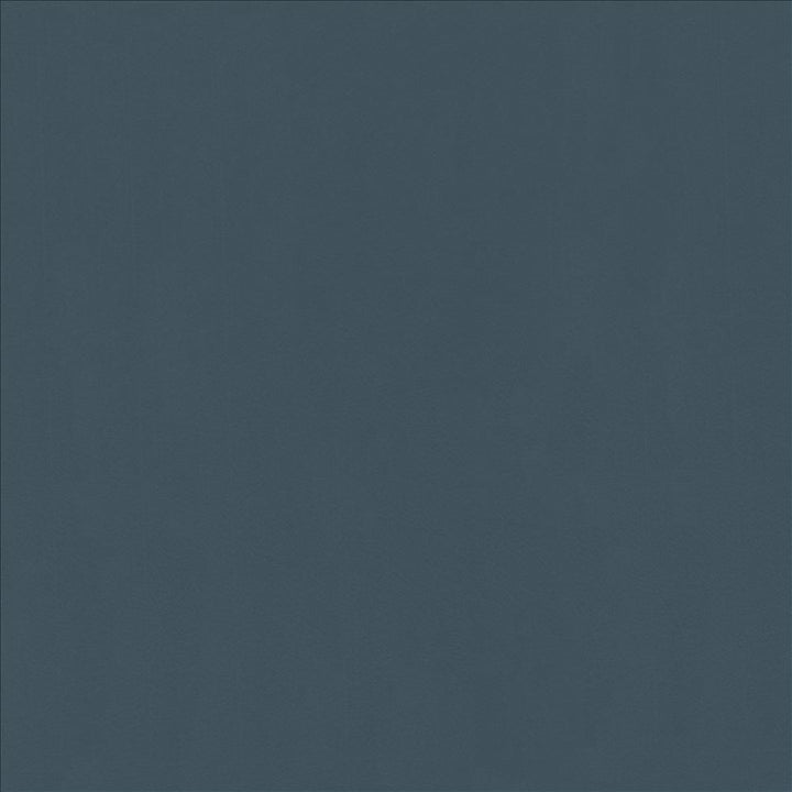 Odin Slate by Kasmir Fabric 5127 100% Polyurethane
 CHINA 100,000 Wyzenbeek Double Rubs Horizontal: N/A and Vertical: N/A 53 - Fabric Carolina -