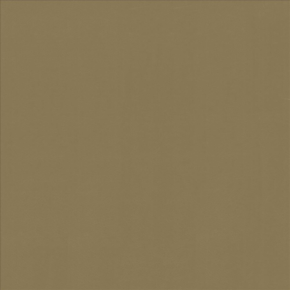 Odin Toast by Kasmir Fabric 5127 100% Polyurethane
 CHINA 100,000 Wyzenbeek Double Rubs Horizontal: N/A and Vertical: N/A 53 - Fabric Carolina -