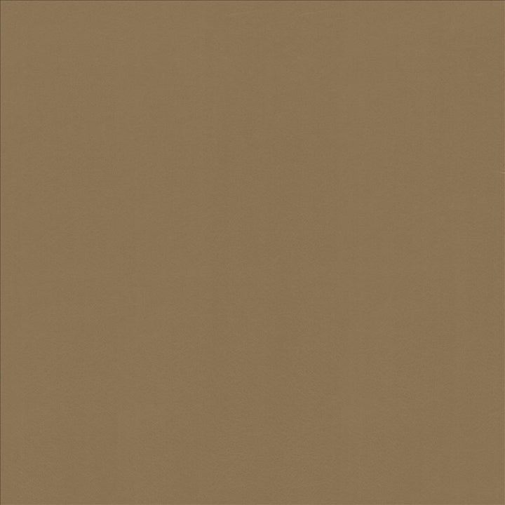 Odin Toast by Kasmir Fabric 5127 100% Polyurethane
 CHINA 100,000 Wyzenbeek Double Rubs </p><p>Repeat: Horizontal: N/A and Vertical: N/A 53 - Fabric Carolina -