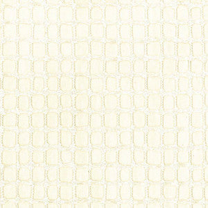 Off The Grid Ivory by Kasmir Fabric