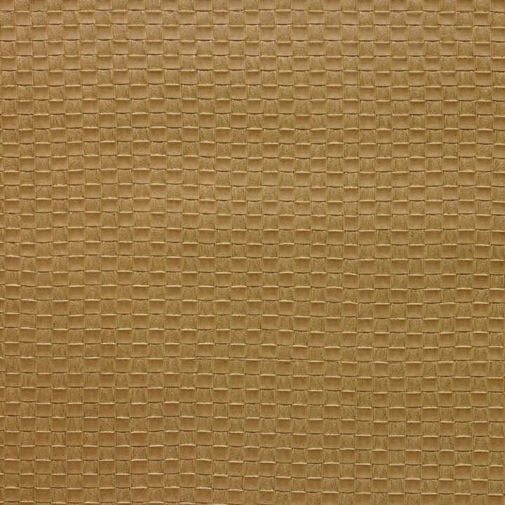 Kravet Design Olia-16 by Kravet Design Fabric