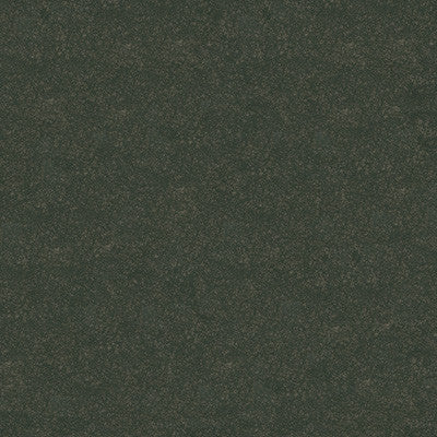 Kravet Design Ombra-3 by Kravet Design Fabric