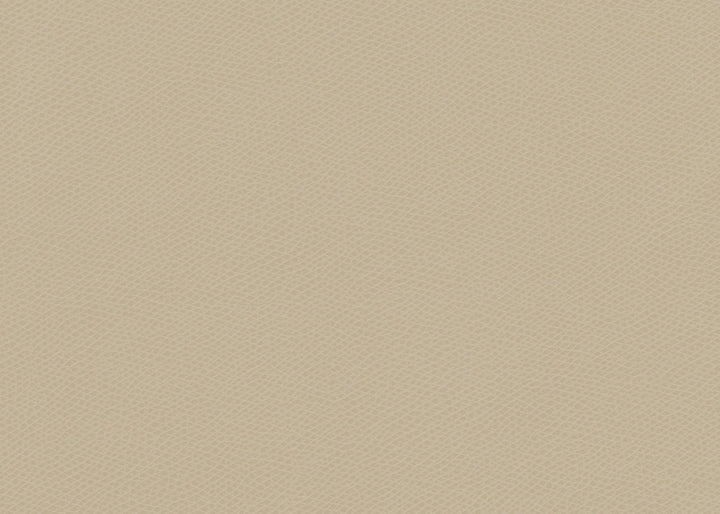 Ophidian Oatmeal by Kravet Contract Fabric